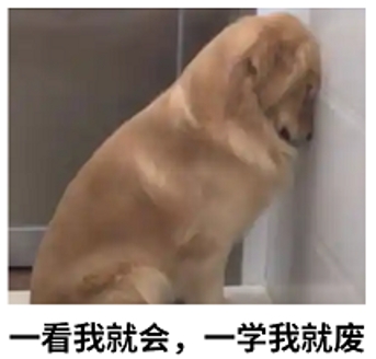 351-02.png