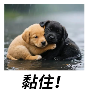383-05.png