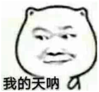 335-05.png